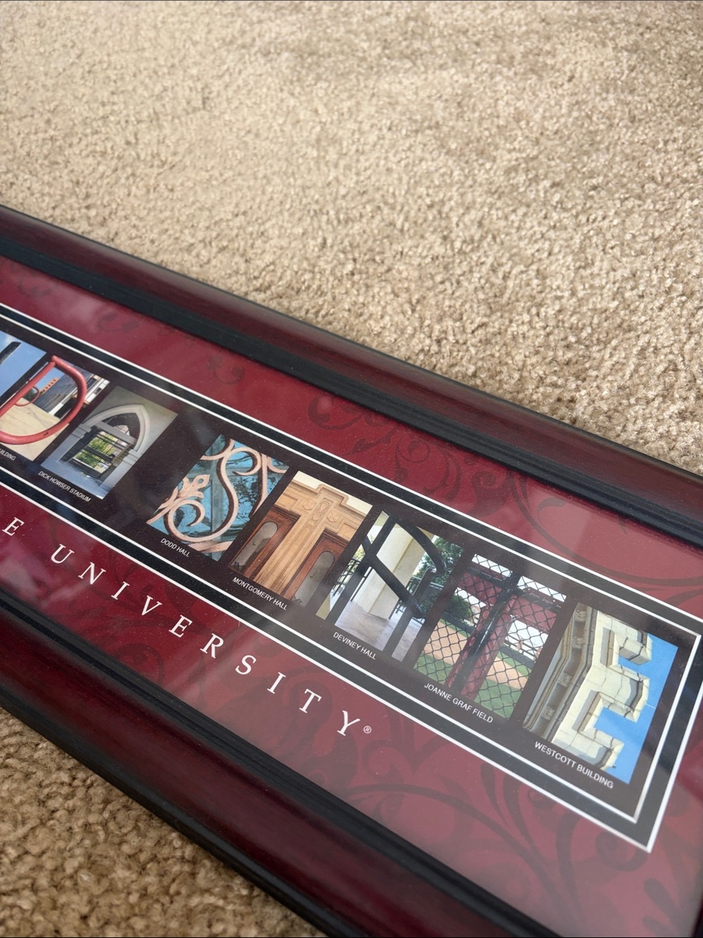 Florida State University Sign - Picture 4 of 4